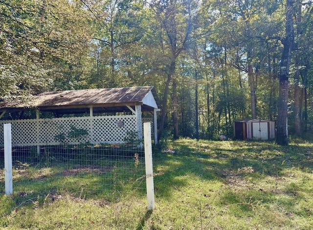 view of yard with a storage unit