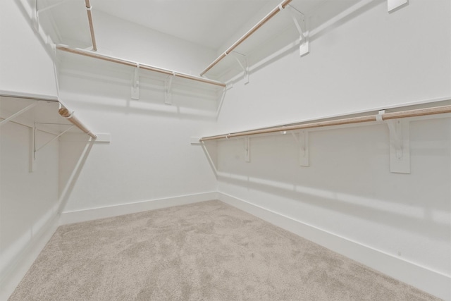 walk in closet with light carpet