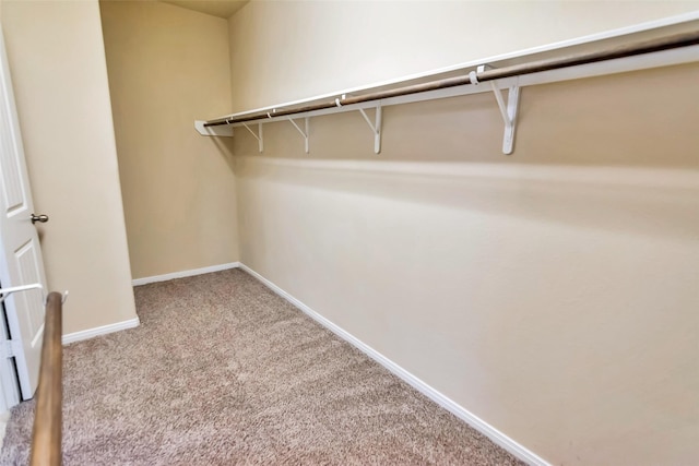 spacious closet with carpet