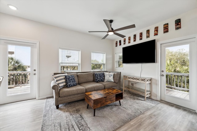 living room featuring ceiling fan and light hardwood / wood-style flooring