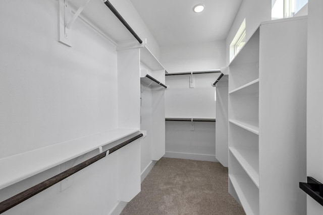 walk in closet featuring carpet