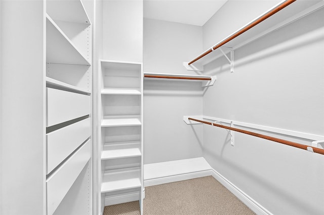 spacious closet featuring carpet floors