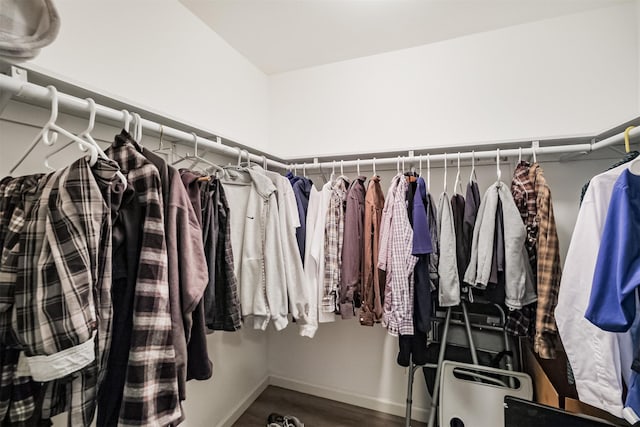 walk in closet featuring hardwood / wood-style flooring