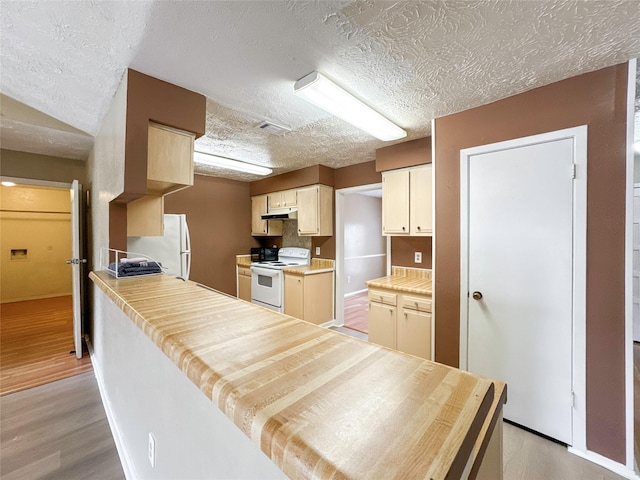 kitchen featuring light wood-type flooring, a textured ceiling, and white appliances