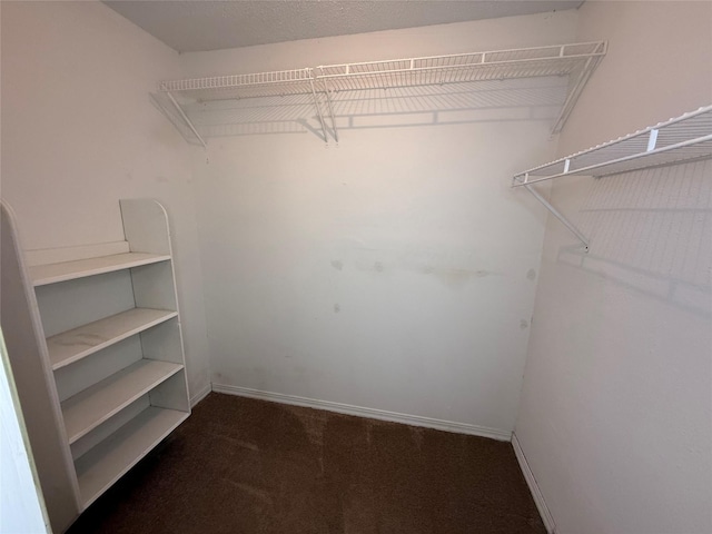 spacious closet with dark colored carpet