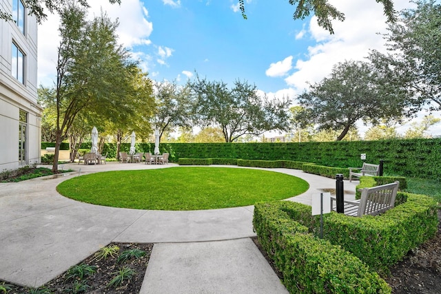 view of home's community featuring a yard and a patio area