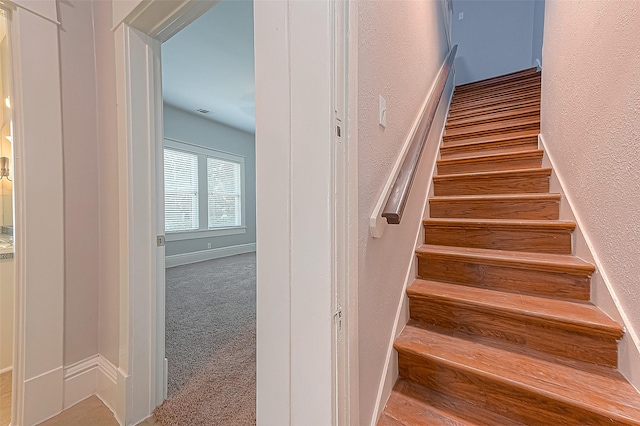 stairway featuring carpet