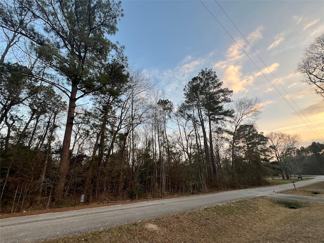 16 Brown Rd, Huntsville TX, 77320 land for sale