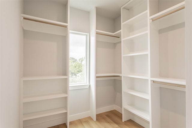 walk in closet with light wood-type flooring