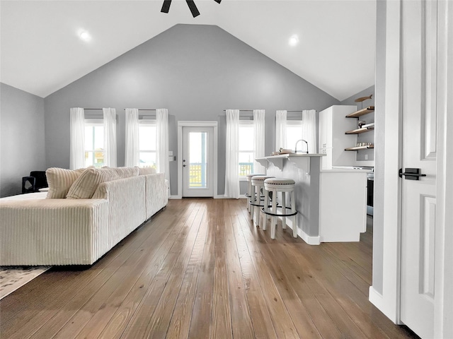 living room featuring plenty of natural light, high vaulted ceiling, and light wood-type flooring