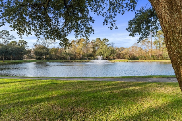 property view of water