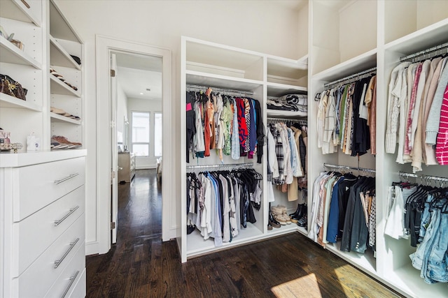 spacious closet with dark hardwood / wood-style flooring