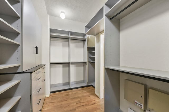 walk in closet with light hardwood / wood-style flooring