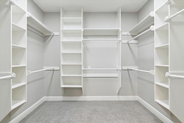 walk in closet featuring carpet