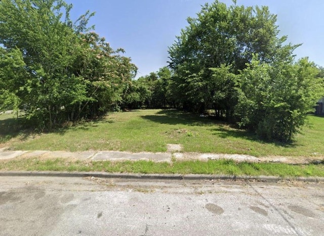 3107 Trulley St, Houston TX, 77004 land for sale