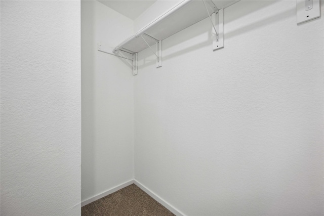 spacious closet featuring carpet floors