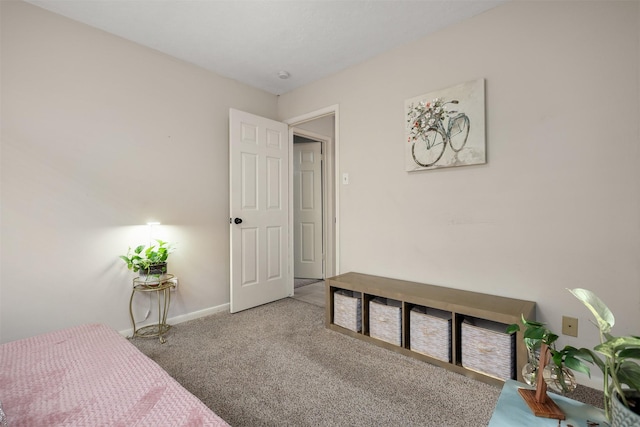 bedroom with carpet flooring