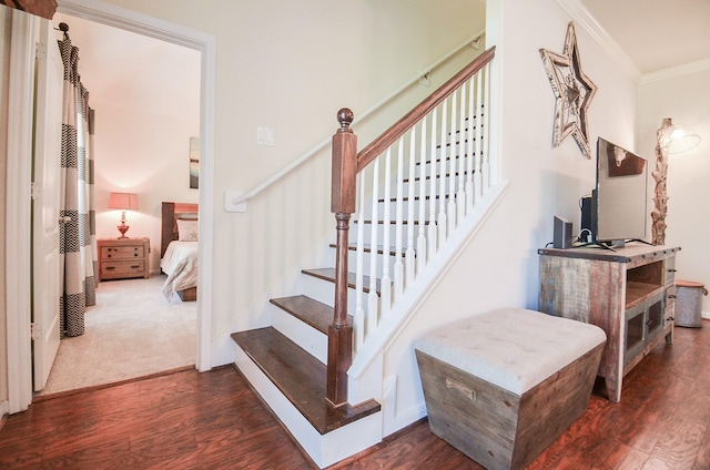 stairway with ornamental molding and wood-type flooring