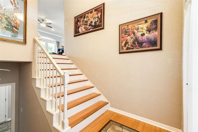 stairs with ornamental molding, wood-type flooring, and ceiling fan