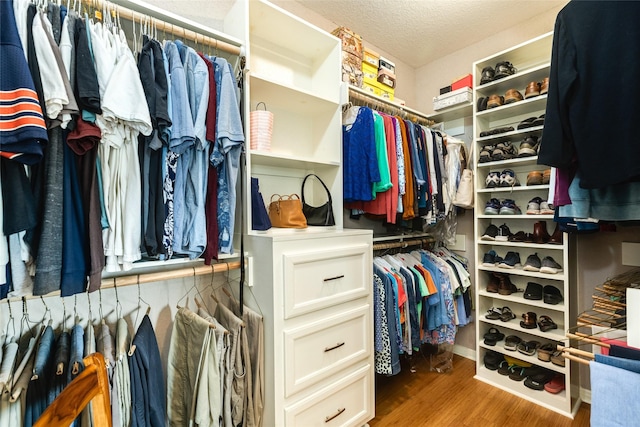 walk in closet with wood-type flooring