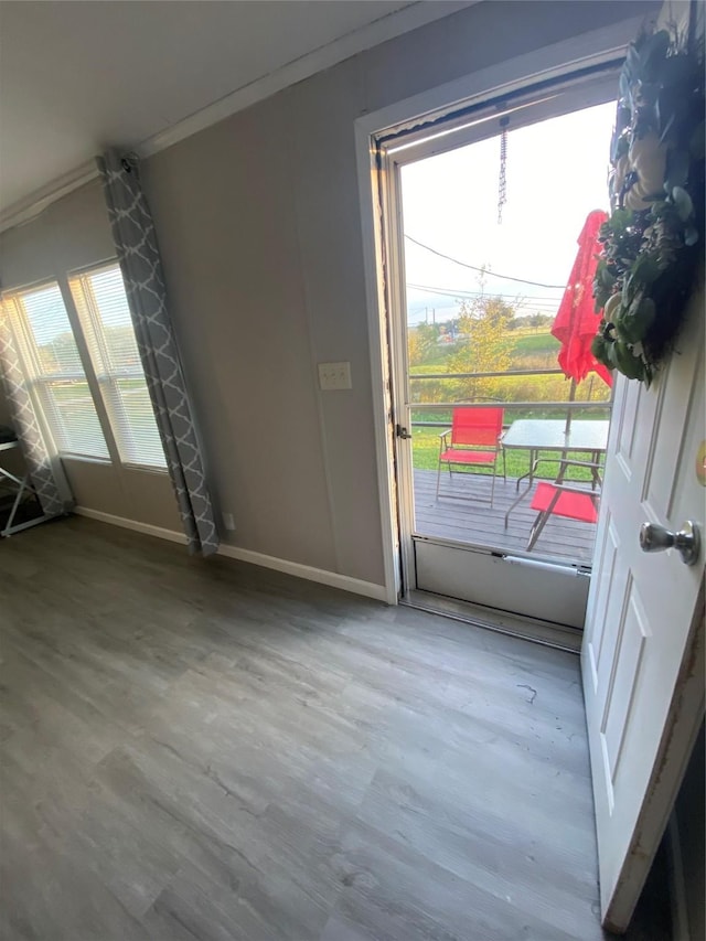 entryway featuring hardwood / wood-style flooring and crown molding