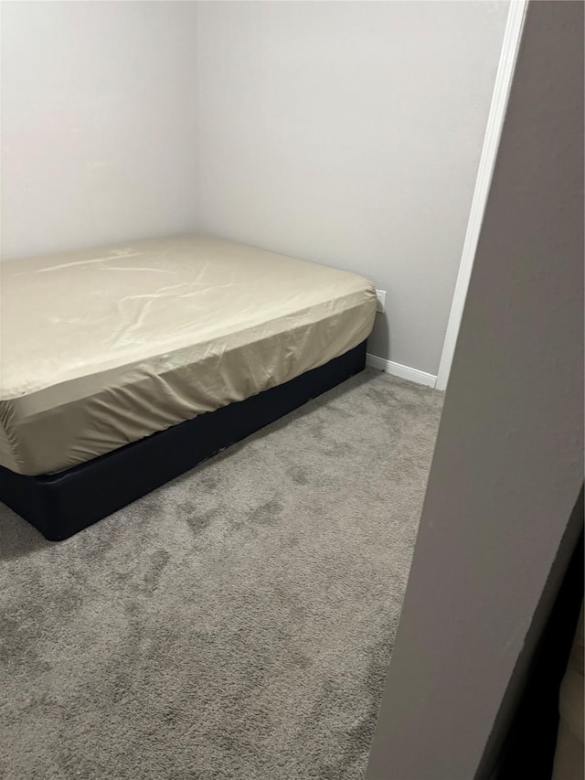 bedroom featuring carpet