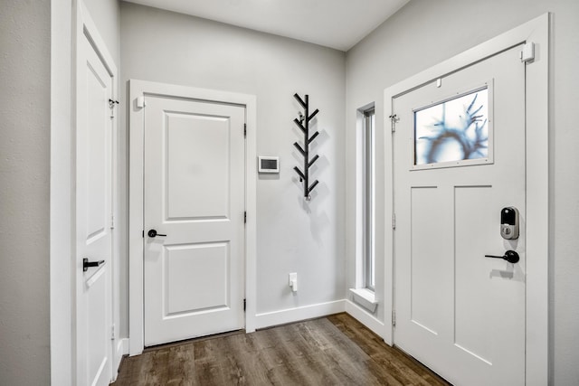 foyer entrance with a healthy amount of sunlight and hardwood / wood-style floors