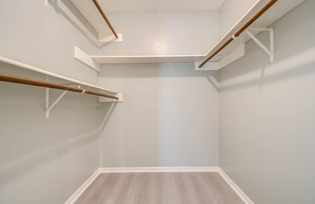 spacious closet featuring wood-type flooring