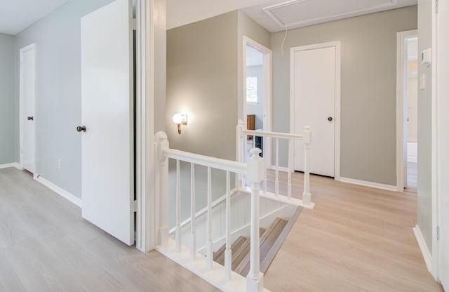 hall featuring light hardwood / wood-style flooring