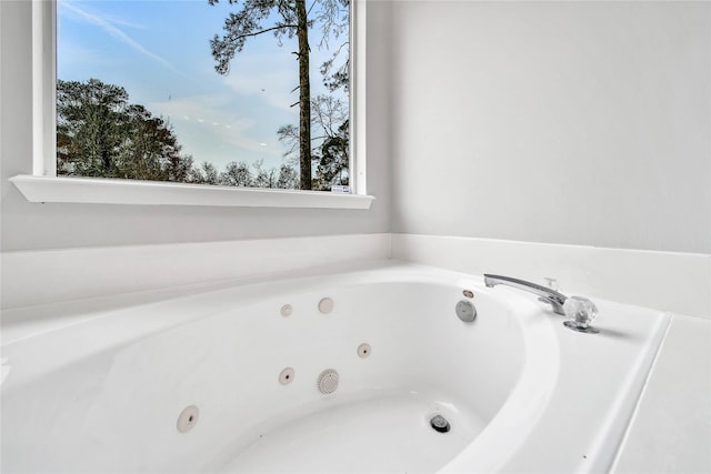 bathroom with a bathtub