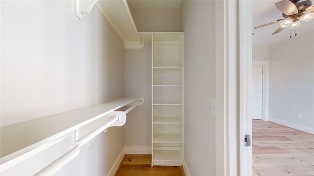 spacious closet with ceiling fan and light hardwood / wood-style floors