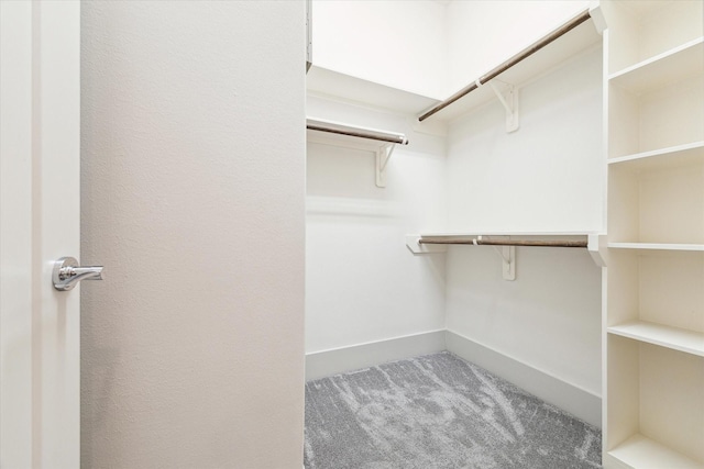 spacious closet featuring carpet flooring