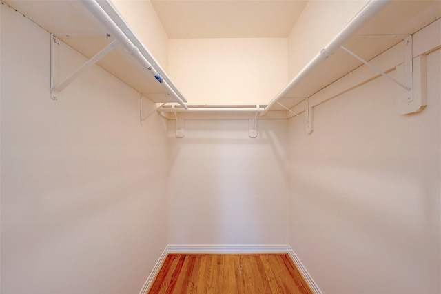 walk in closet featuring hardwood / wood-style flooring