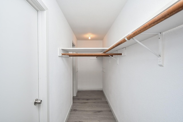 spacious closet with light wood-type flooring