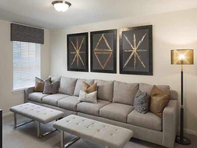 living room featuring carpet floors