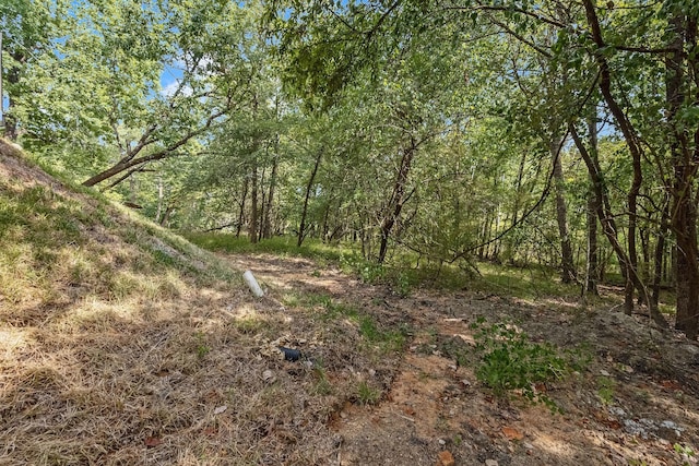 view of local wilderness