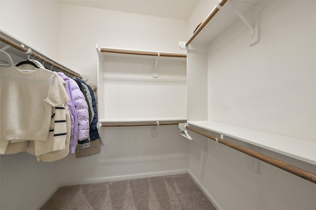 spacious closet with carpet floors