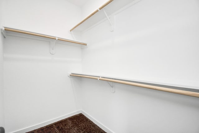 spacious closet featuring carpet flooring