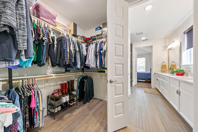 spacious closet featuring sink