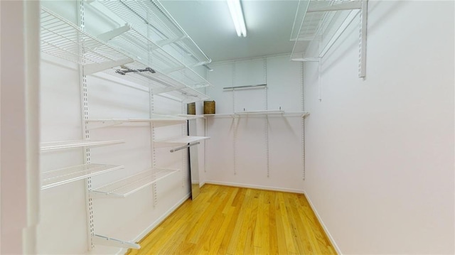 spacious closet with hardwood / wood-style floors