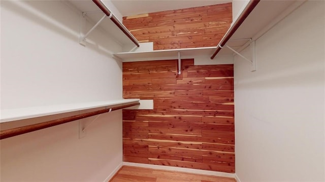 spacious closet featuring wood-type flooring