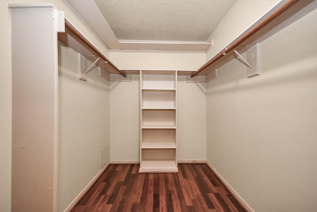 spacious closet with dark wood-type flooring