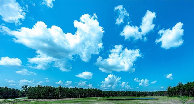 15516 Forest Grove Dr, Willis, TX 77378 - view of community with a wooded view