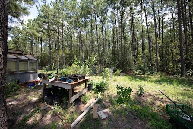 view of yard with an outdoor structure