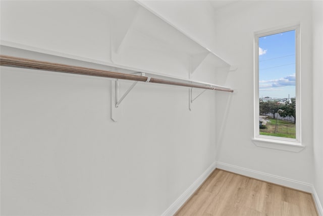 spacious closet with light wood-type flooring