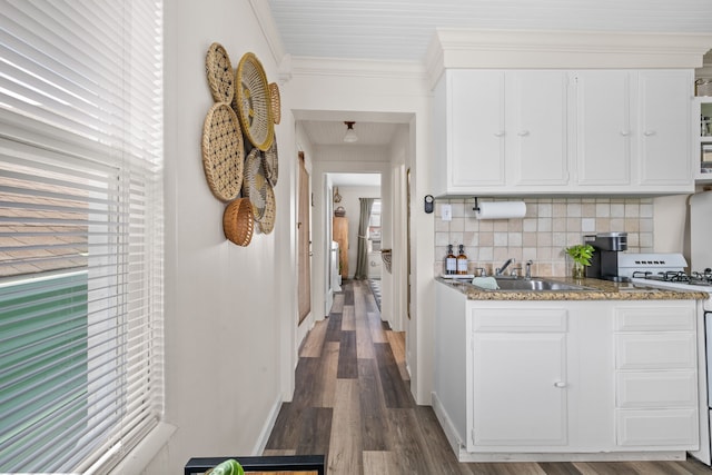 hall featuring crown molding, dark hardwood / wood-style floors, sink, and a healthy amount of sunlight