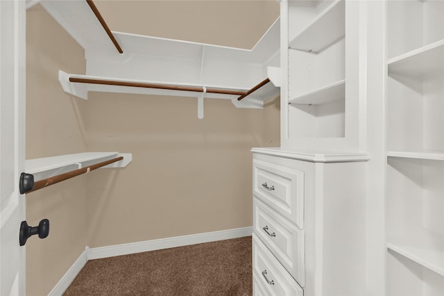 spacious closet featuring carpet floors