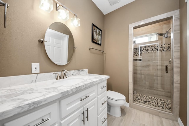 bathroom featuring vanity, toilet, and walk in shower