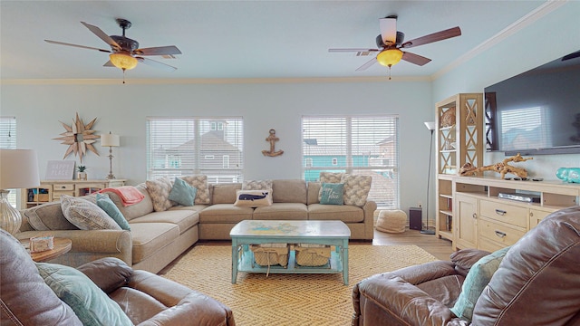 living room with crown molding, a wealth of natural light, and light hardwood / wood-style flooring