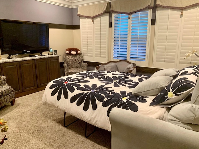 view of carpeted bedroom